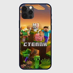 Чехол для iPhone 12 Pro Max Степан Minecraft, цвет: 3D-черный