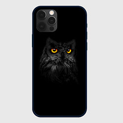 Чехол для iPhone 12 Pro Max Сова ночью, цвет: 3D-черный