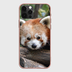 Чехол для iPhone 12 Pro Max Красная панда, цвет: 3D-светло-розовый