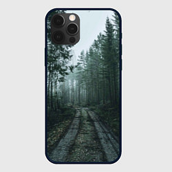 Чехол для iPhone 12 Pro Max Дорога в лес, цвет: 3D-черный