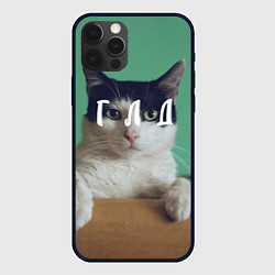 Чехол для iPhone 12 Pro Max Мем с котом - голод, цвет: 3D-черный