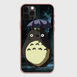 Чехол для iPhone 12 Pro Max Totoro in rain forest, цвет: 3D-светло-розовый