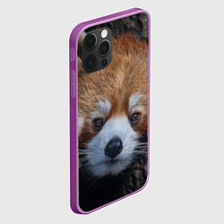 Чехол для iPhone 12 Pro Max Крaсная панда, цвет: 3D-сиреневый — фото 2