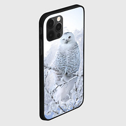 Чехол для iPhone 12 Pro Max Сова белая подмигивает, цвет: 3D-черный — фото 2