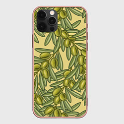 Чехол iPhone 12 Pro Max Винтажные ветви оливок