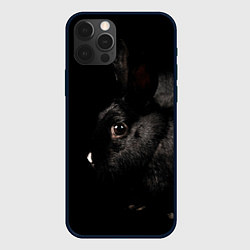 Чехол для iPhone 12 Pro Max Чёрный большой кролик, цвет: 3D-черный