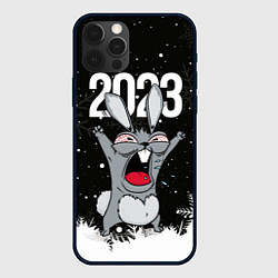 Чехол для iPhone 12 Pro Max Злой кролик 2023, цвет: 3D-черный