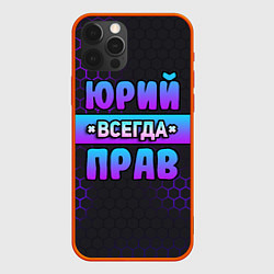 Чехол для iPhone 12 Pro Max Юрий всегда прав - неоновые соты, цвет: 3D-красный