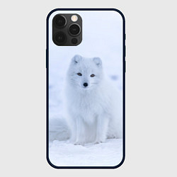 Чехол для iPhone 12 Pro Max Белоснежный Песец, цвет: 3D-черный