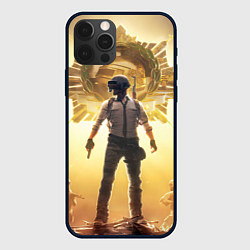 Чехол для iPhone 12 Pro Max PUBG банда и медали, цвет: 3D-черный