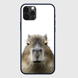 Чехол для iPhone 12 Pro Max Капибара пофигист, цвет: 3D-черный