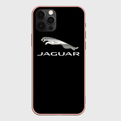 Чехол для iPhone 12 Pro Max Jaguar sport brend, цвет: 3D-светло-розовый