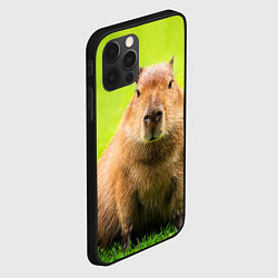 Чехол для iPhone 12 Pro Max Capybara on green grass, цвет: 3D-черный — фото 2