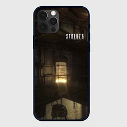 Чехол для iPhone 12 Pro Max STALKER монстр в лаборатории, цвет: 3D-черный