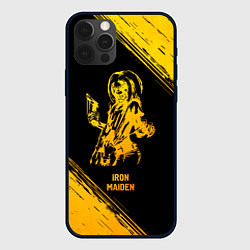 Чехол для iPhone 12 Pro Max Iron Maiden - gold gradient, цвет: 3D-черный