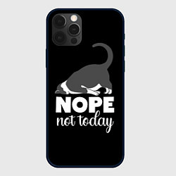 Чехол для iPhone 12 Pro Max Nope not today, цвет: 3D-черный