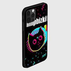 Чехол для iPhone 12 Pro Max Limp Bizkit - rock star cat, цвет: 3D-черный — фото 2