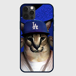 Чехол для iPhone 12 Pro Max Шлепа рэпер, цвет: 3D-черный