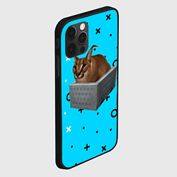 Чехол для iPhone 12 Pro Max Шлепа в коробке, цвет: 3D-черный — фото 2