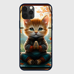 Чехол для iPhone 12 Pro Max Медитирующий кот цветной, цвет: 3D-черный