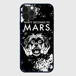 Чехол для iPhone 12 Pro Max Thirty Seconds to Mars рок пес, цвет: 3D-черный