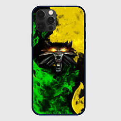 Чехол для iPhone 12 Pro Max The Witcher in fire, цвет: 3D-черный