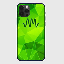 Чехол для iPhone 12 Pro Max Arctic Monkeys green poly, цвет: 3D-черный