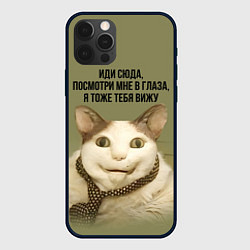 Чехол iPhone 12 Pro Max Мемный кот бу испугался