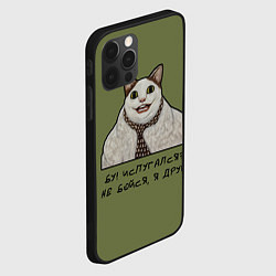 Чехол для iPhone 12 Pro Max Кот Бу - мем, цвет: 3D-черный — фото 2
