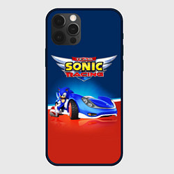 Чехол для iPhone 12 Pro Max Hedgehog - Sonic racing team, цвет: 3D-черный