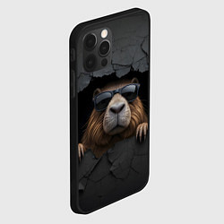 Чехол для iPhone 12 Pro Max Капибара в стене, цвет: 3D-черный — фото 2