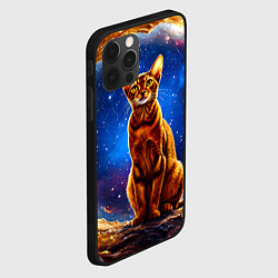 Чехол для iPhone 12 Pro Max Абиссинская кошка в космосе, цвет: 3D-черный — фото 2