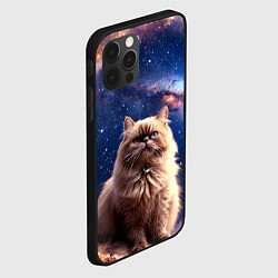 Чехол для iPhone 12 Pro Max Гималайская кошка в космосе, цвет: 3D-черный — фото 2