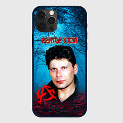 Чехол для iPhone 12 Pro Max Сектор газа вечерний лес, цвет: 3D-черный