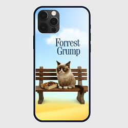Чехол для iPhone 12 Pro Max Пародия Форрест Гамп - кот на скамейке, цвет: 3D-черный