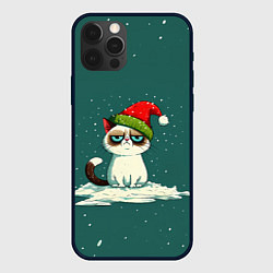 Чехол для iPhone 12 Pro Max Милый мем Новогодний котенок, цвет: 3D-черный
