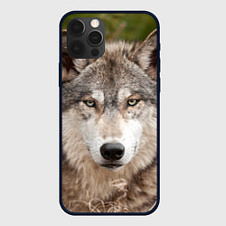 Чехол для iPhone 12 Pro Волк таежный, цвет: 3D-черный