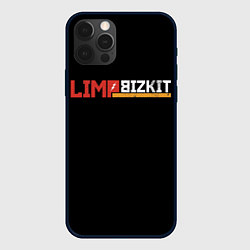 Чехол для iPhone 12 Pro Limp Bizkit, цвет: 3D-черный