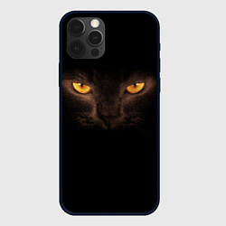 Чехол для iPhone 12 Pro Кошачий взгляд, цвет: 3D-черный