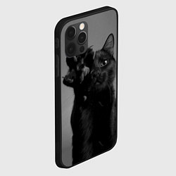 Чехол для iPhone 12 Pro Черный котик, цвет: 3D-черный — фото 2