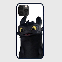 Чехол для iPhone 12 Pro Черная фурия, цвет: 3D-черный