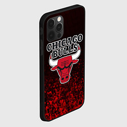 Чехол для iPhone 12 Pro CHICAGO BULLS, цвет: 3D-черный — фото 2