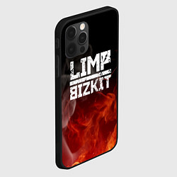 Чехол для iPhone 12 Pro LIMP BIZKIT, цвет: 3D-черный — фото 2
