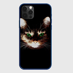 Чехол для iPhone 12 Pro Зеленоглазый кот, цвет: 3D-тёмно-синий
