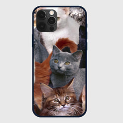Чехол для iPhone 12 Pro КОТЯТКИ, цвет: 3D-черный