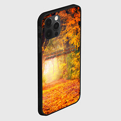 Чехол для iPhone 12 Pro Что такое осень - это небо, цвет: 3D-черный — фото 2