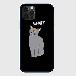 Чехол для iPhone 12 Pro What cat, цвет: 3D-черный