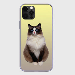Чехол для iPhone 12 Pro Персидская пушистая кошка, цвет: 3D-светло-сиреневый