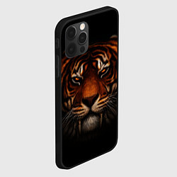 Чехол для iPhone 12 Pro TIGER, цвет: 3D-черный — фото 2