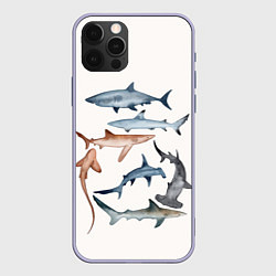 Чехол iPhone 12 Pro Акулы